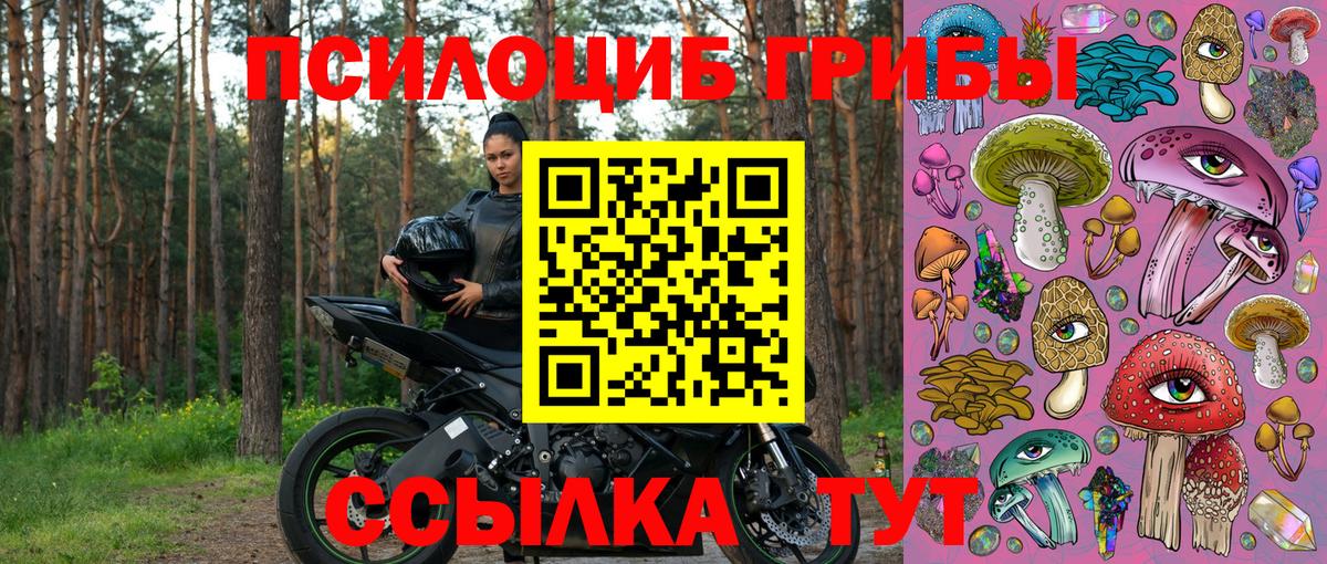 Галлюциногенные грибы Psilocybine cubensis  наркотики  Нягань  Вход с VPN 