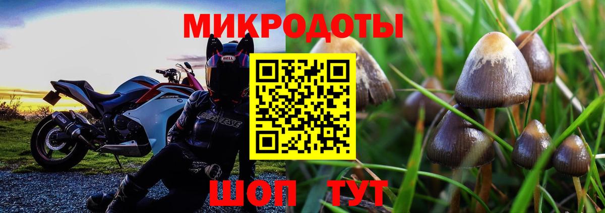 Псилоцибиновые грибы Psilocybine cubensis Нягань
